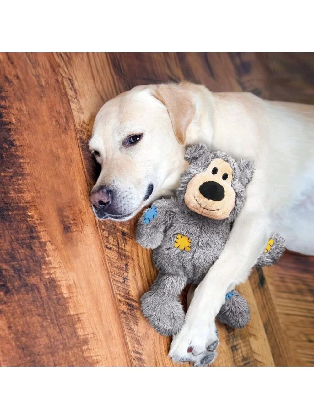 Durable Plush Dog Toy with Knotted Ropes & Minimal Stuffing - Assorted Colors